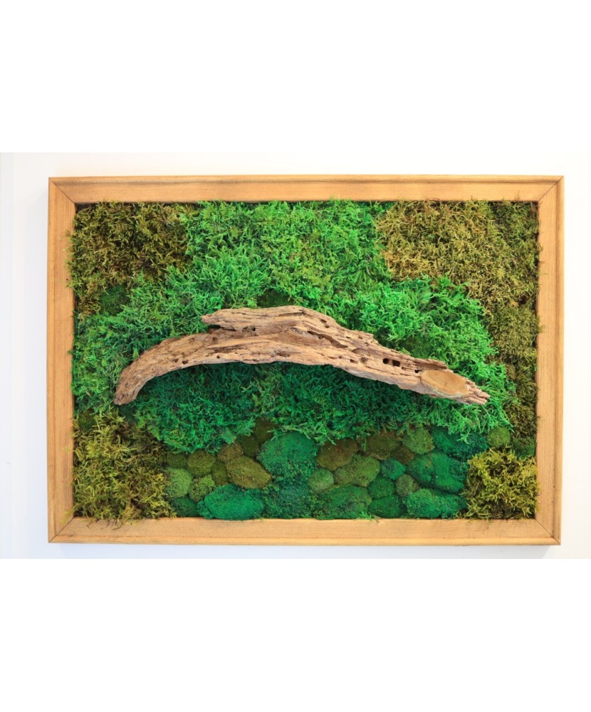Moss Wall Art with Wood from a Former Anthill – Nature’s Unique Story