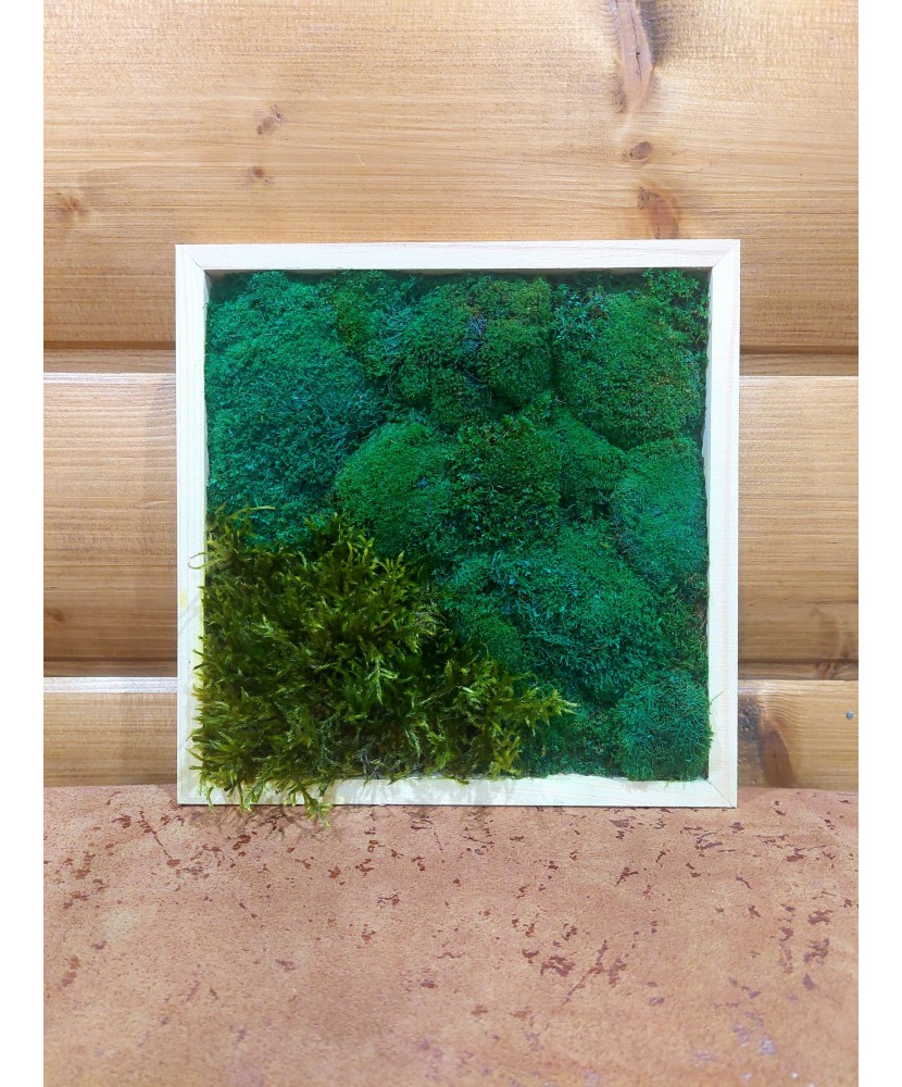 Machový obraz z konzervovaného machu – zelený dotyk prírody